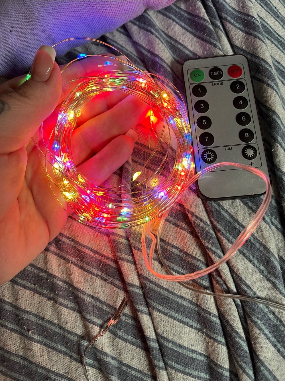 Multicolor LED Fairy String Lights with Remote